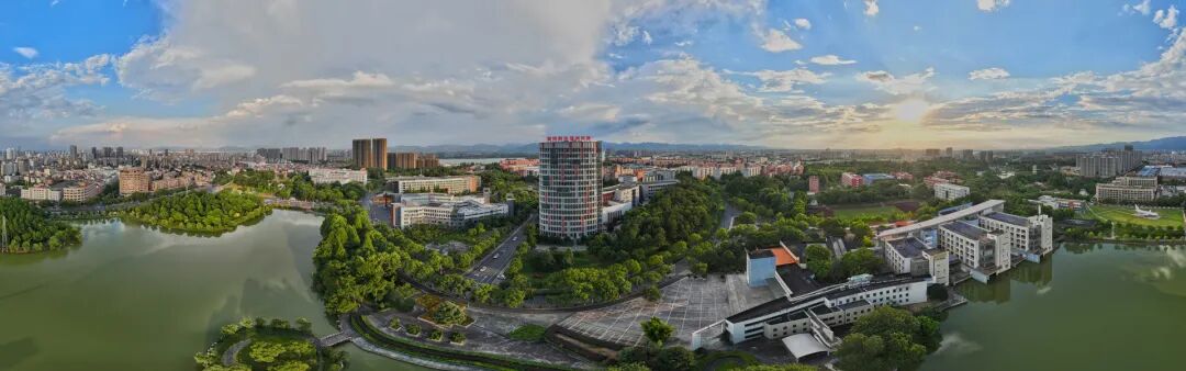 一级做A爱片特黄在线观看